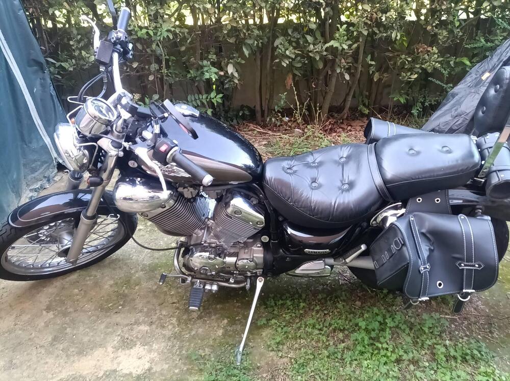 Yamaha XV 535 DX Virago (1998 - 04) (5)