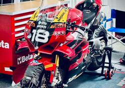 Ducati Panigale V4 S (2022 - 24) usata