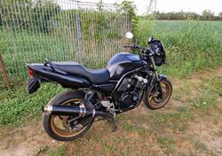 Yamaha FZS 600 Fazer (2002 - 03) usata