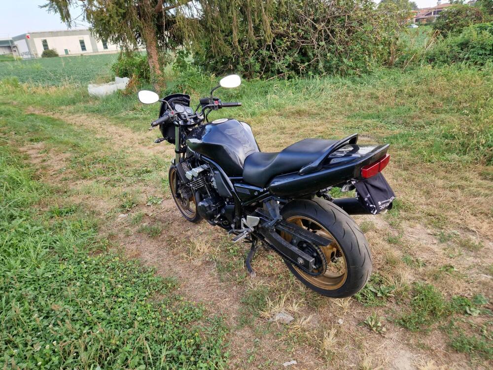 Yamaha FZS 600 Fazer (2002 - 03) (2)