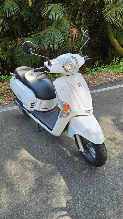 Kymco Like 50 2T (2009 - 19)