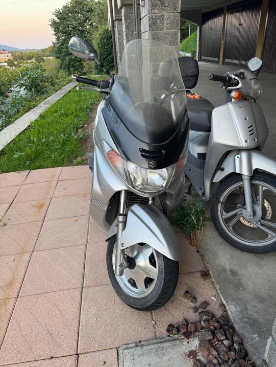 Suzuki Burgman AN 250 (2001 - 03) (2)