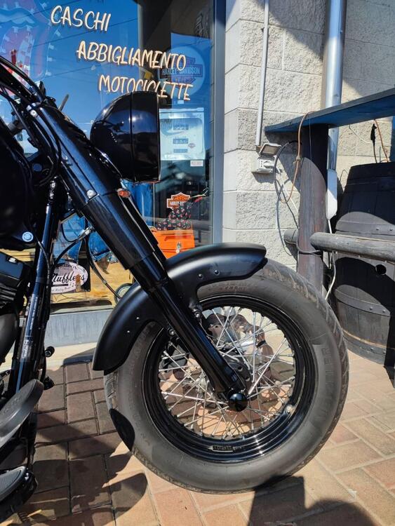 Harley-Davidson 1690 Slim (2011 - 16) - FLS (2)