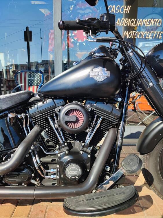 Harley-Davidson 1690 Slim (2011 - 16) - FLS (3)