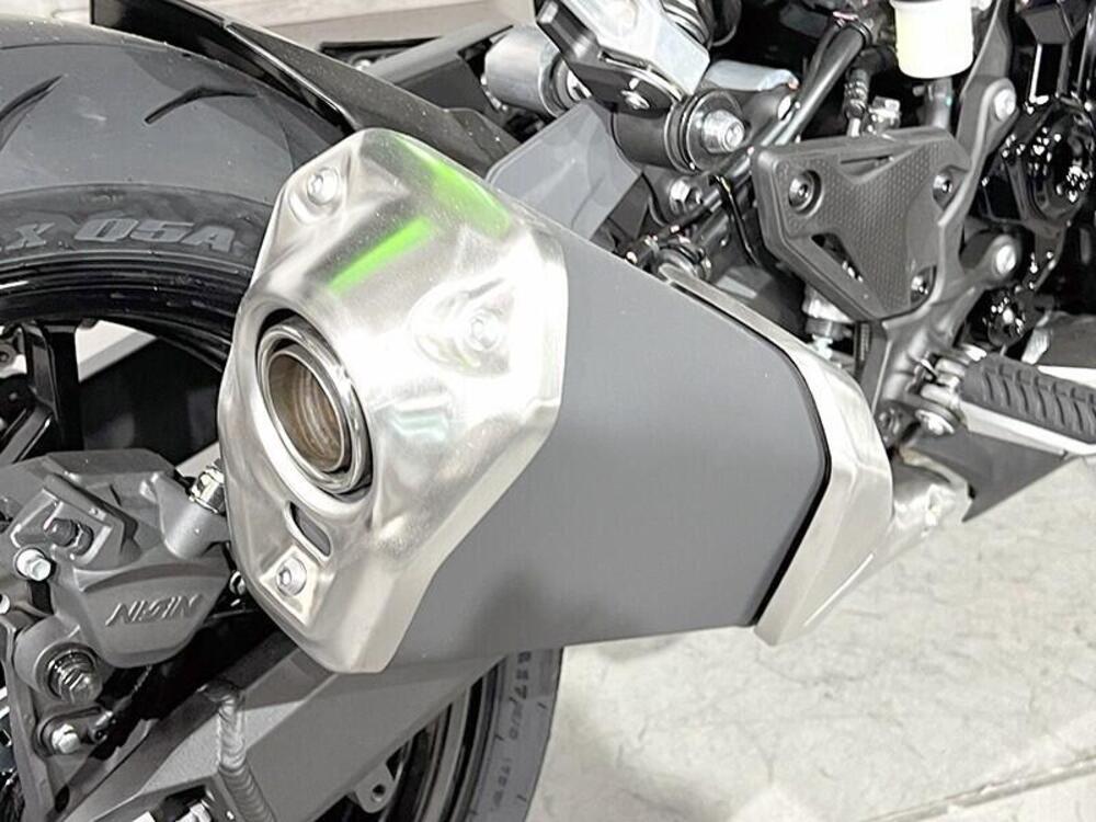 Kawasaki Z 900 (2025 - 26) (3)