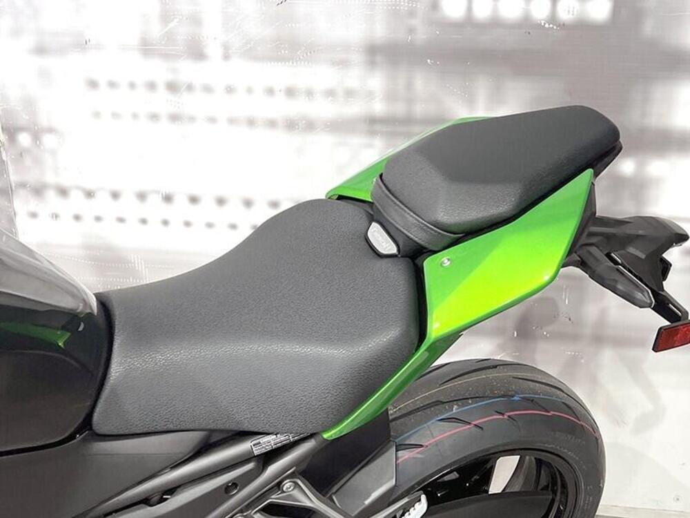 Kawasaki Z 900 (2025 - 26) (4)