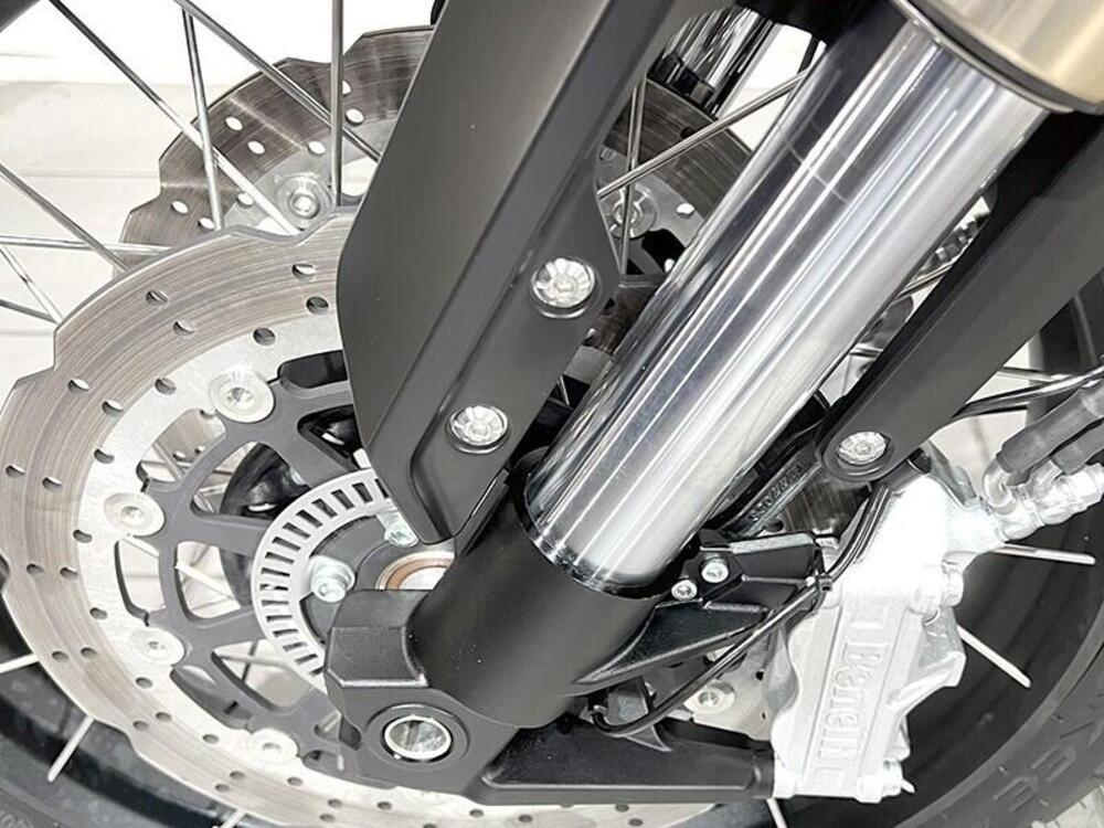 Benelli Leoncino 800 (2022 - 25) (4)