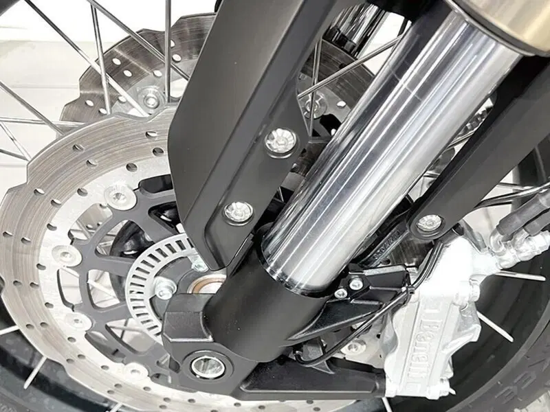 Benelli Leoncino 800 (2022 - 26) (4)