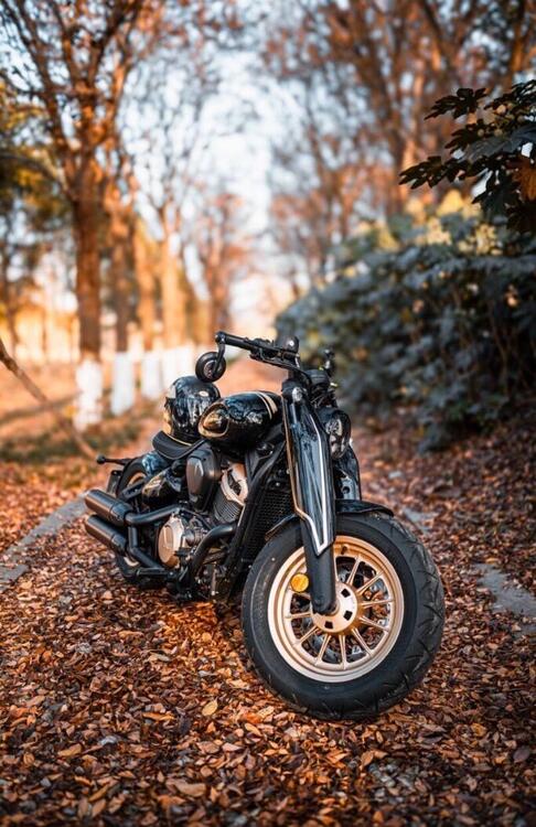 Benda Motorcycles Napoleon Bob 500 (2024 - 25)