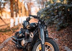 Benda Motorcycles Napoleon Bob 500 (2024 - 25) nuova