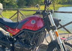 Benelli Leoncino 500 Trail (2021 - 25) usata
