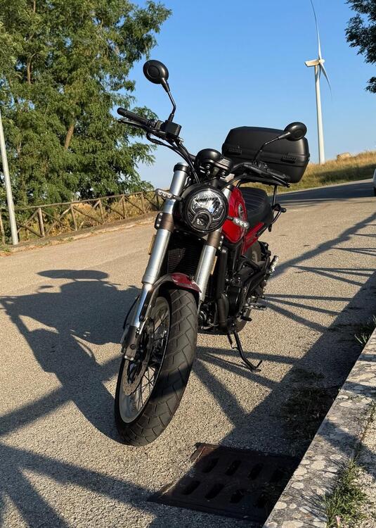 Benelli Leoncino 500 Trail (2021 - 25) (4)