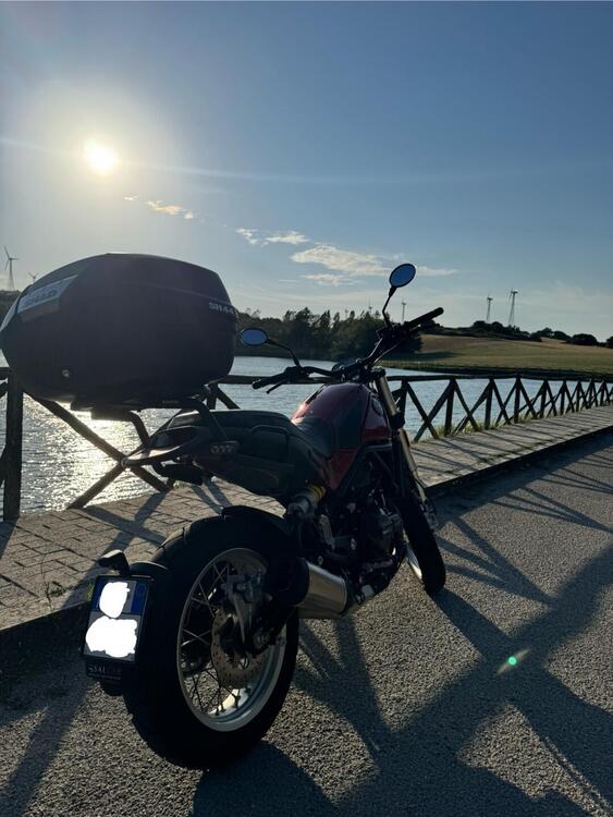 Benelli Leoncino 500 Trail (2021 - 25) (5)