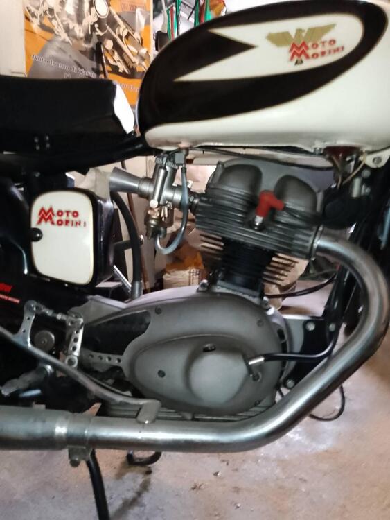 Morini settebello 175