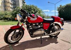 Triumph Thruxton 900 (2004 - 15) usata