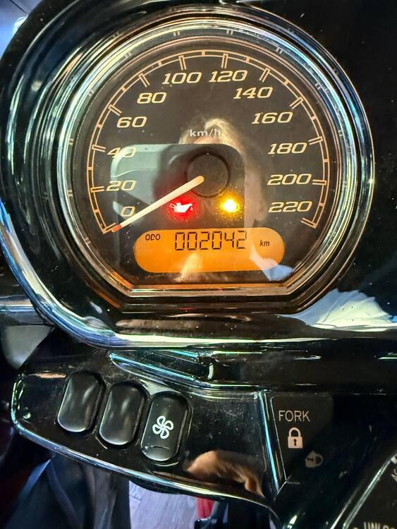 Harley-Davidson Road Glide Special Anniversary (2023) (5)