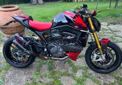 Ducati Monster 937 SP (2023 - 25) usata