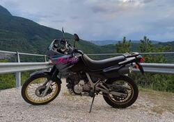 Honda NX 650 Dominator (1991 - 95) usata