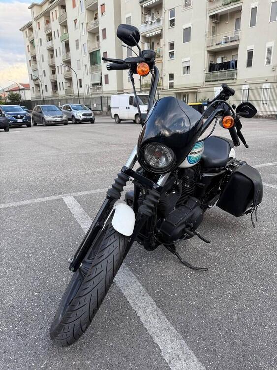Harley-Davidson 1200 Iron (2018 - 20) - XL1200N (5)