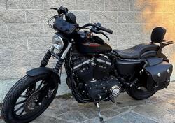 Harley-Davidson 883 Iron (2009 - 11) - XL 883N usata