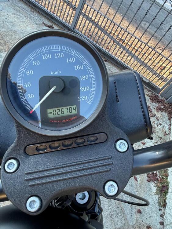 Harley-Davidson 883 Iron (2009 - 11) - XL 883N (2)