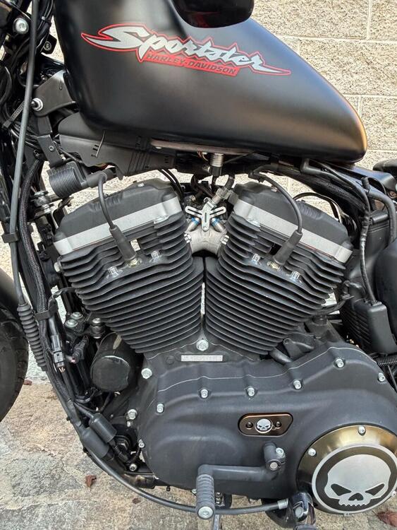 Harley-Davidson 883 Iron (2009 - 11) - XL 883N (3)