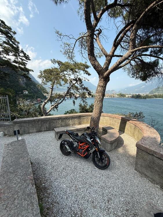 KTM 125 Duke (2021 - 23) (3)