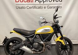 Ducati Scrambler 800 Icon (2015 - 16) usata