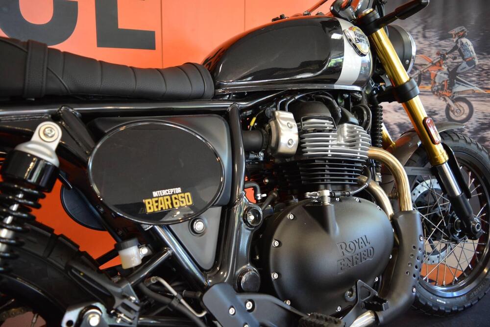 Royal Enfield Bear 650 (2025) (4)