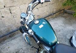 Honda VT 600 C Shadow (1989 - 02) usata