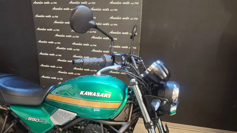 Kawasaki Z 650 RS (2025 - 26) (3)