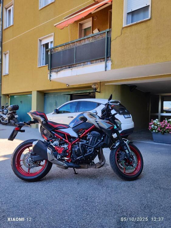 Kawasaki Z 900 (2021 - 24) (3)