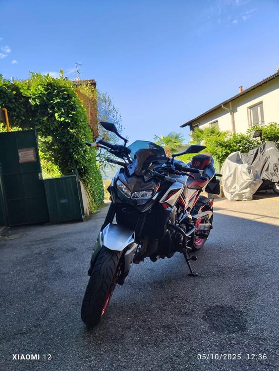 Kawasaki Z 900 (2021 - 24) (4)