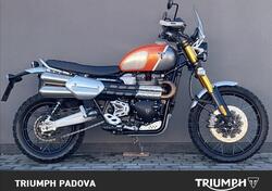 Triumph Scrambler 1200 XE Gold Line Edition (2021 - 22) usata