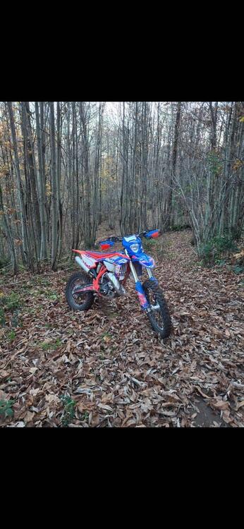 Betamotor RR 125 2T Enduro Racing (2024) (5)