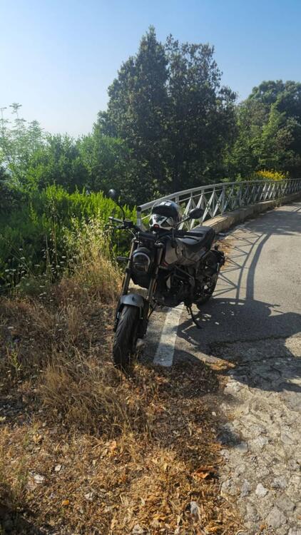 Benelli Leoncino 125 (2022 - 25)
