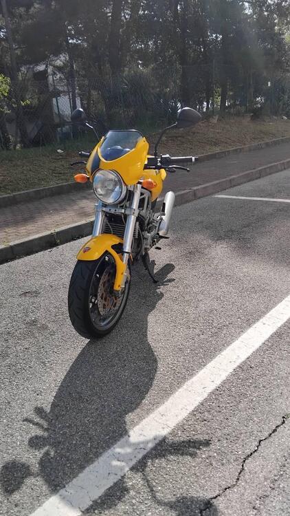 Ducati Monster 800 (2003 - 05) (2)