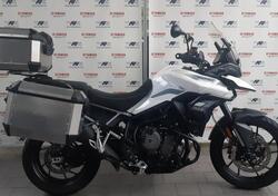 Triumph Tiger 900 GT (2020 - 23) usata