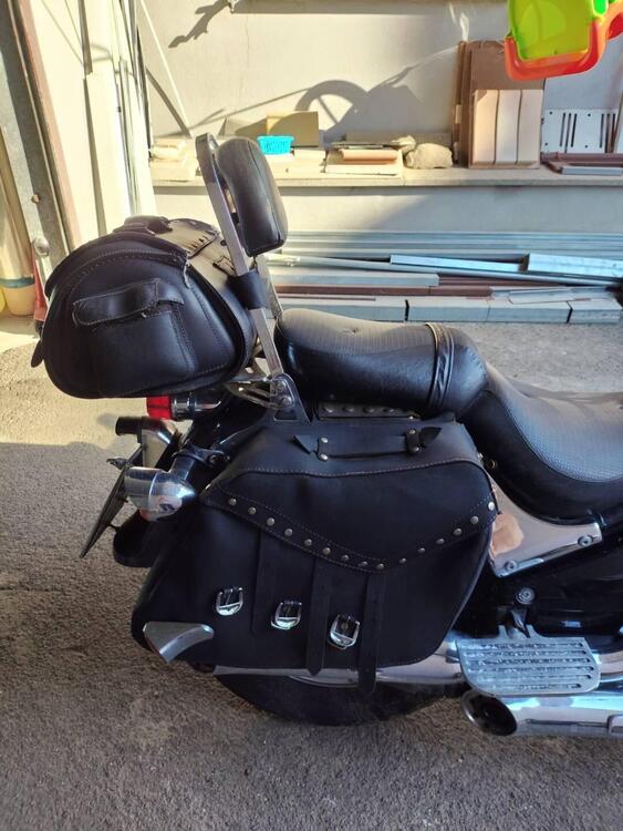 Kawasaki VN 800 Classic (2001 - 06) (4)