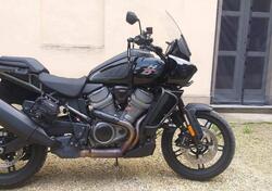 Harley-Davidson Pan America 1250 (2020 - 25) usata