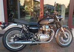 Kawasaki W 800 (2021 - 25) nuova