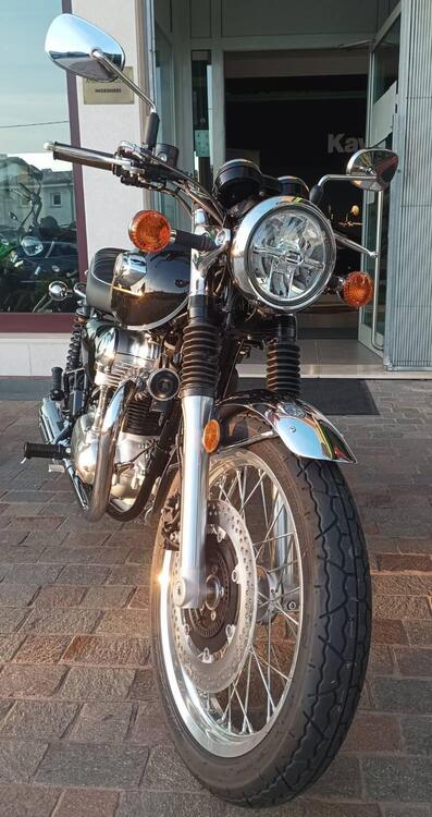 Kawasaki W 800 (2021 - 25) (3)