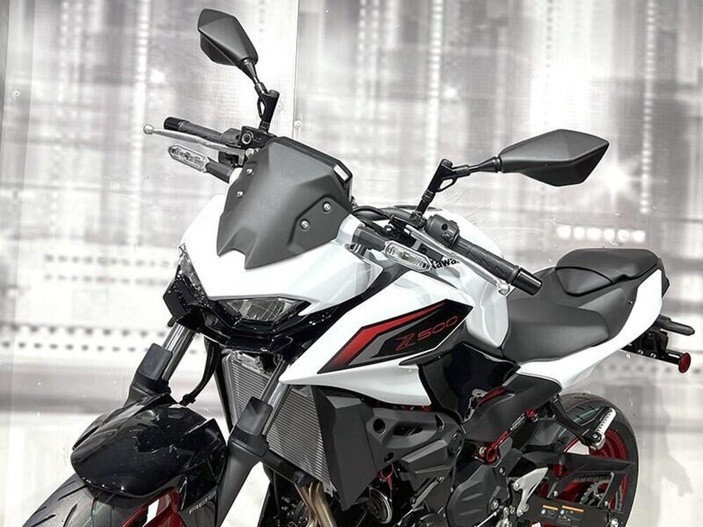 Kawasaki Z 500 SE (2024 - 26) (5)