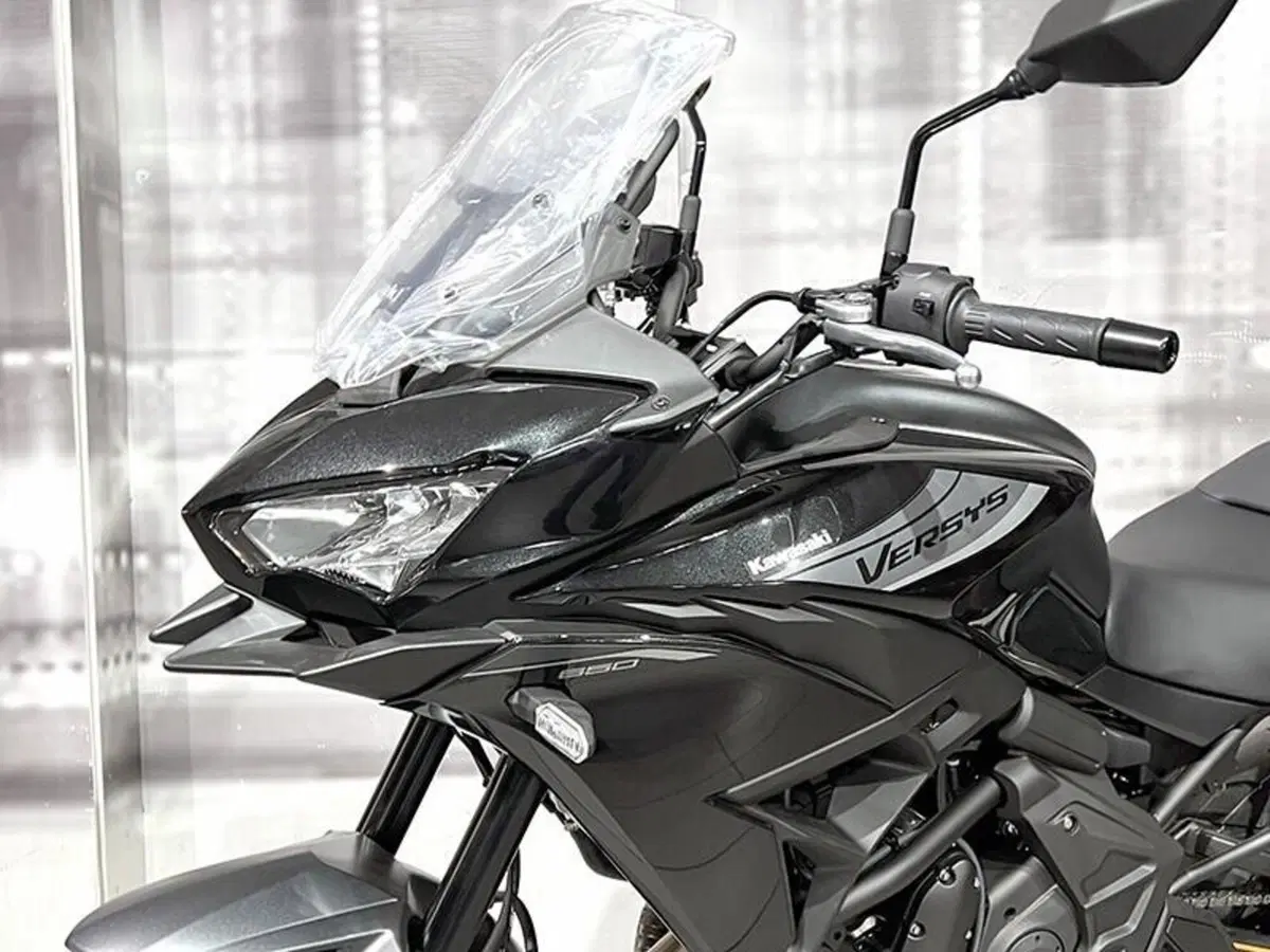 Kawasaki Versys 650 (2025 - 26) (4)