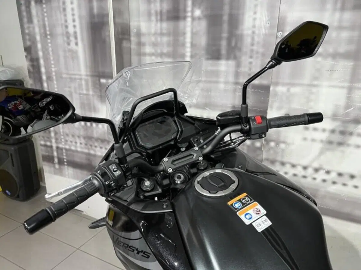 Kawasaki Versys 650 (2025 - 26) (5)