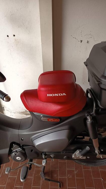 Honda Super Cub C125 (2022 - 24) (4)