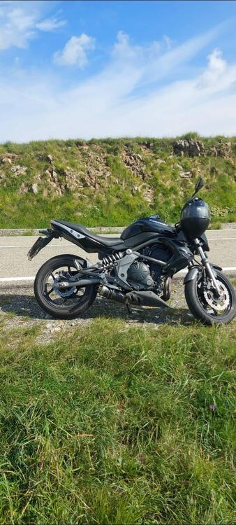 Kawasaki ER-6N (2009 - 11) (2)