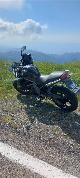 Kawasaki ER-6N (2009 - 11) (4)