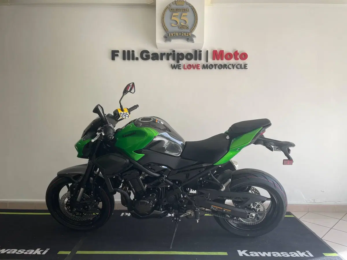 Kawasaki Z 900 (2025 - 26)