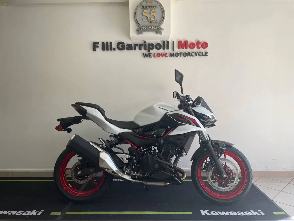 Kawasaki Z 500 SE (2024 - 26) (2)